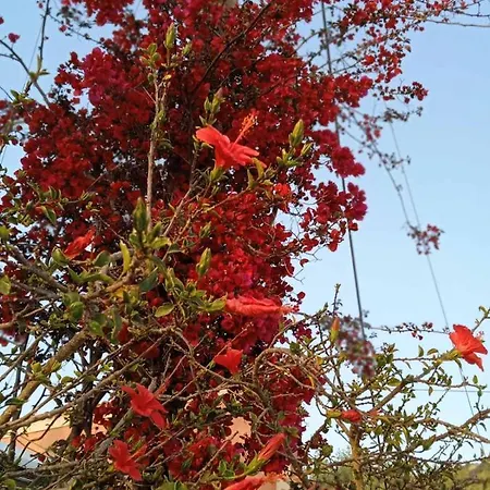 Hotel de apartamente Julietta 3*