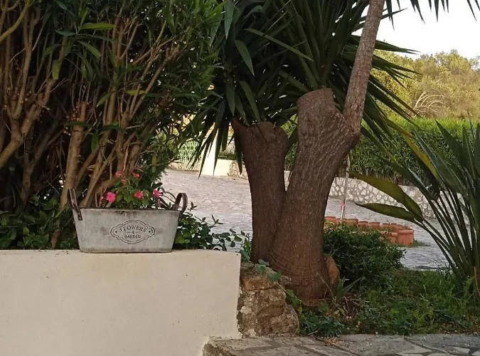 Julietta Apartahotel 4*