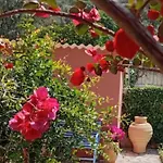 Aparthotel Julietta 4*